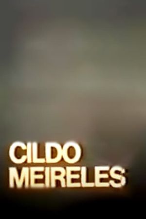 Cildo Meireles's poster