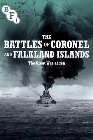 The Battles of Coronel and Falkland Islands's poster