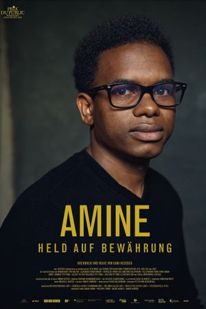 Amine – Hero on Probation's poster