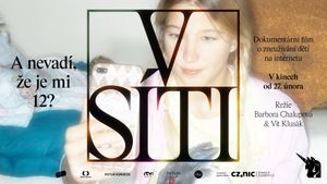 Caught in the Net's poster
