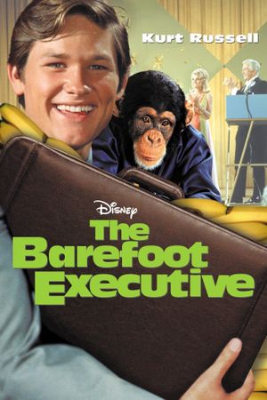 The Barefoot Executive's poster image