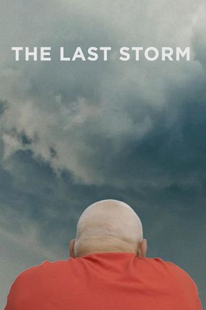 The Last Storm's poster
