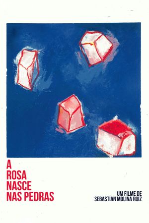 A Rosa Nasce Nas Pedras's poster