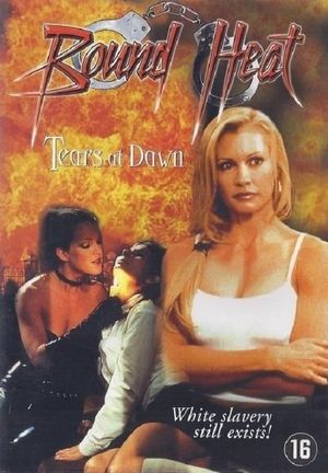 The Final Victim's poster