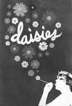 Daisies's poster