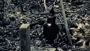 Ashes to Slashes's poster