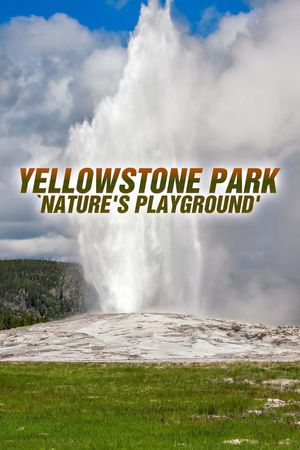 Yellowstone Park: 'Nature's Playground''s poster