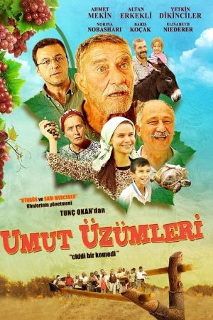 Umut Üzümleri's poster