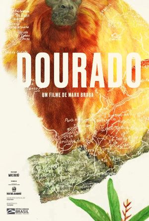 Dourado's poster