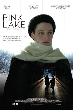 Pink Lake's poster