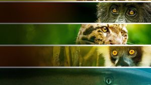 Endangered's poster