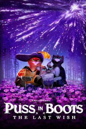 Puss in Boots: The Last Wish's poster