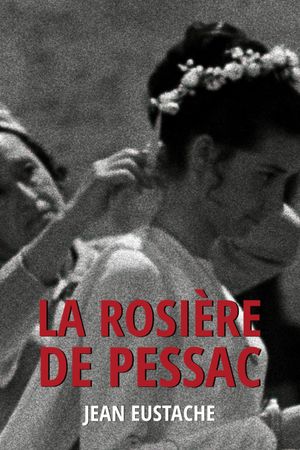 The Virgin of Pessac's poster