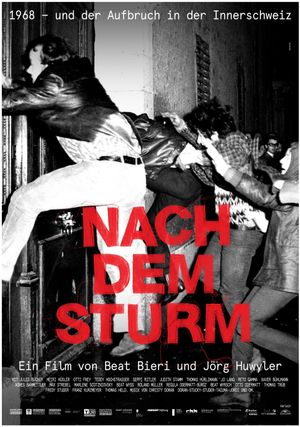 Nach dem Sturm's poster