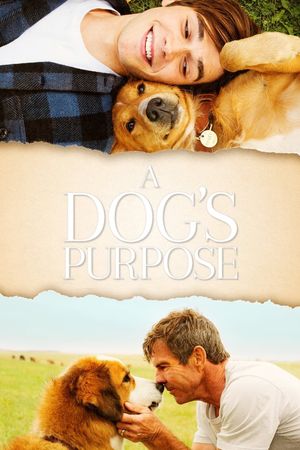 A Dog's Purpose's poster