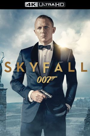 Skyfall's poster