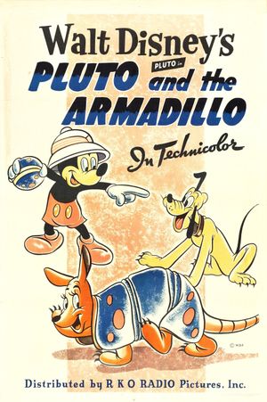 Pluto and the Armadillo's poster image