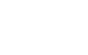 Director's Cut's poster