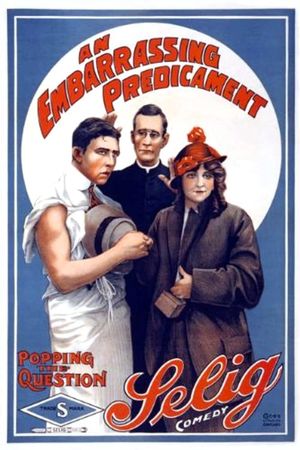 An Embarrassing Predicament's poster image