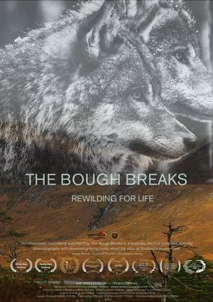 The Bough Breaks's poster image