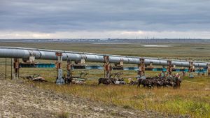 Russian Gas and the Nenets's poster
