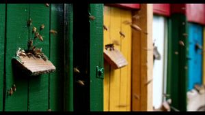 The Honey Bee's poster