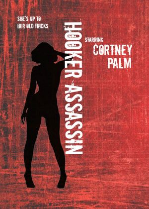 Hooker Assassin's poster