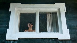 The Last Days of Emma Blank's poster