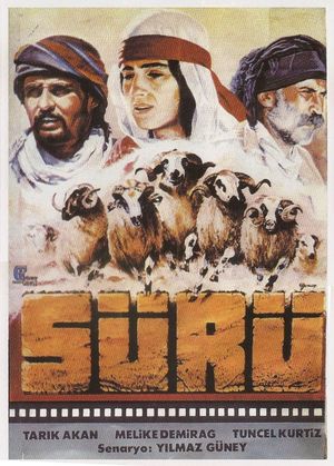 The Herd's poster