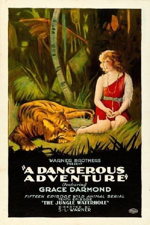 A Dangerous Adventure's poster