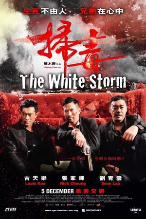 The White Storm's poster