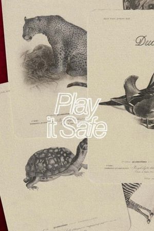 Play It Safe's poster