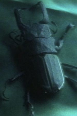 Entomologist's poster image