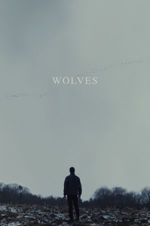 Wolves's poster