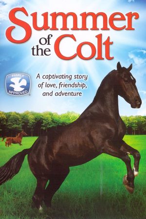 Summer of the Colt's poster