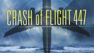 Crash of Flight 447's poster