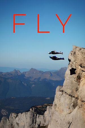 Fly's poster