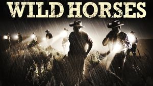 Wild Horses's poster
