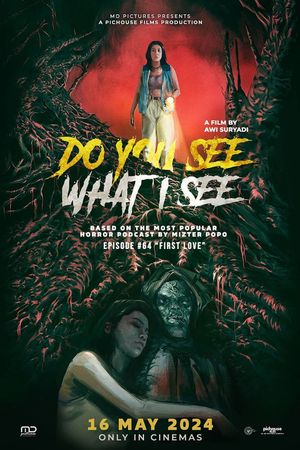 Do You See What I See's poster
