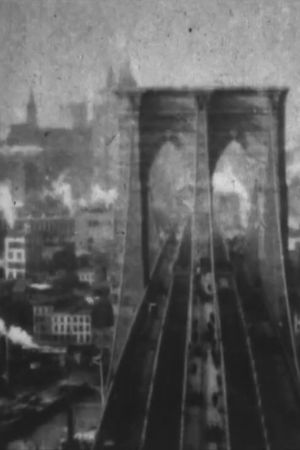 At the Top of Brooklyn Bridge's poster