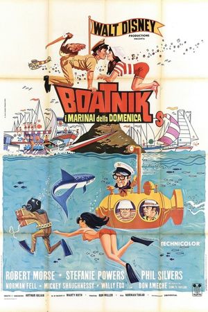 The Boatniks's poster