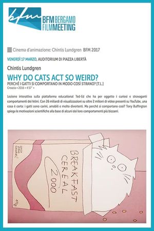 Why Do Cats Act So Weird?'s poster