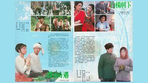 白杨树下's poster