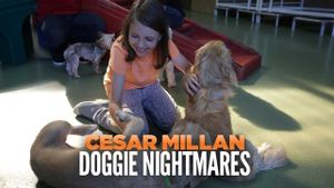 Cesar Millan: Doggie Nightmares's poster