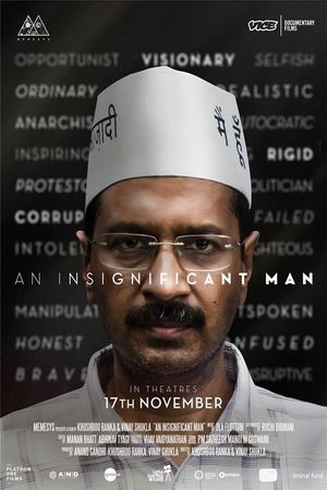 An Insignificant Man's poster