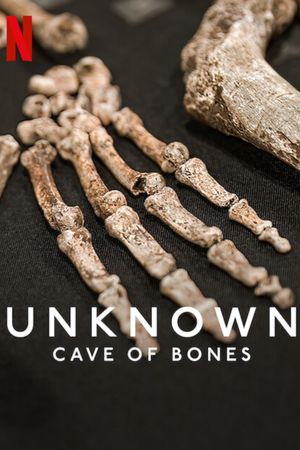 Unknown: Cave of Bones's poster