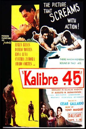 Kalibre .45's poster