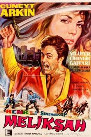 Meliksah's poster
