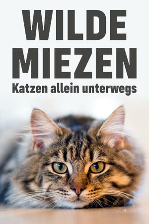 Wilde Miezen - Katzen allein unterwegs's poster