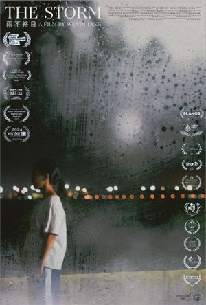 The Storm's poster